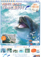 2011.05.26iruka.jpg