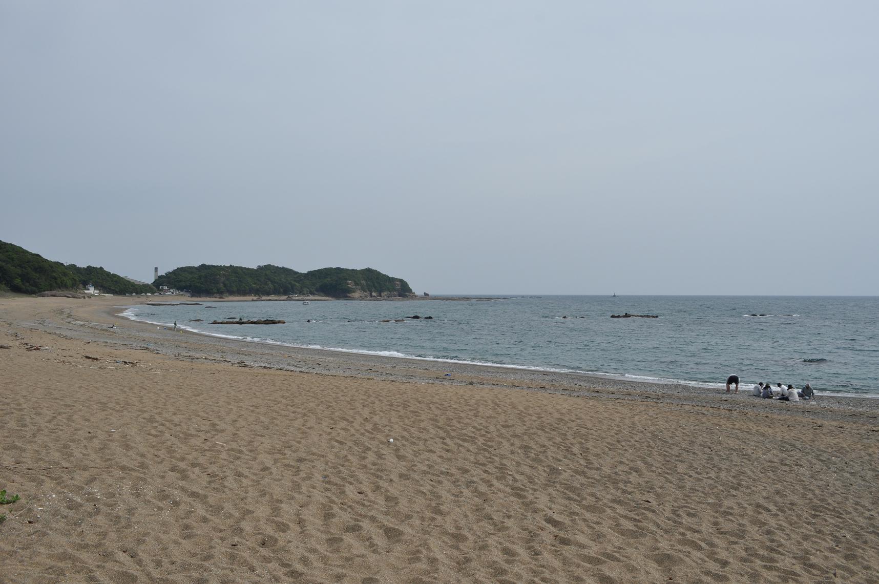 DSC_0274x.jpg