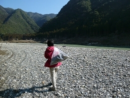 P1010494.jpg