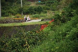 mishuku-chikatsuyu-area.jpg