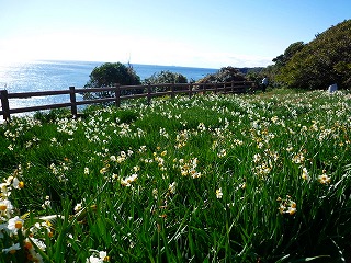 s-P1020215.jpg