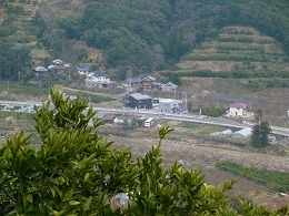 P1010476.jpg